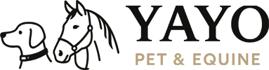 Yayo