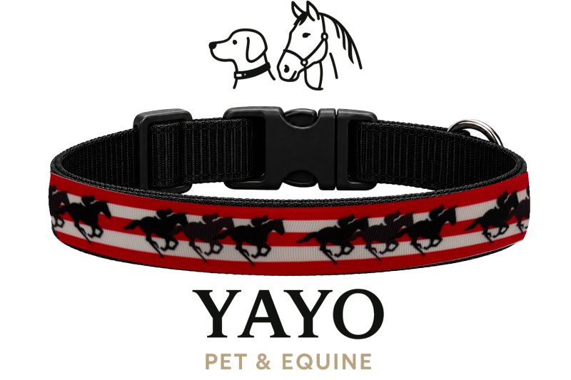 YAYO Derby